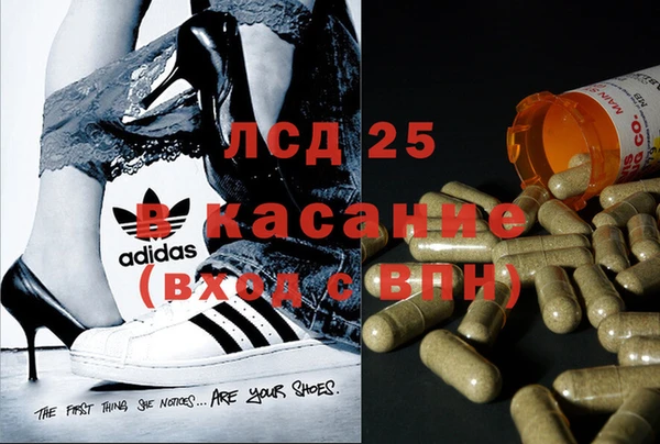 дживик Алзамай