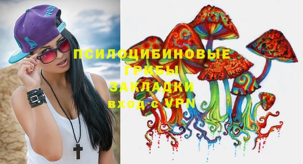 эйфоретик Алексин