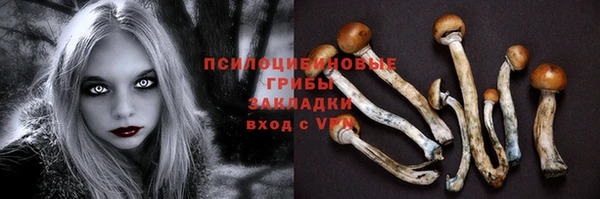дживик Алзамай